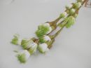 Paramit - Dekorativní květina zeleno-bílá 113 cm