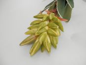 Paramit - Dekorativní umělá květina zelená 70 cm